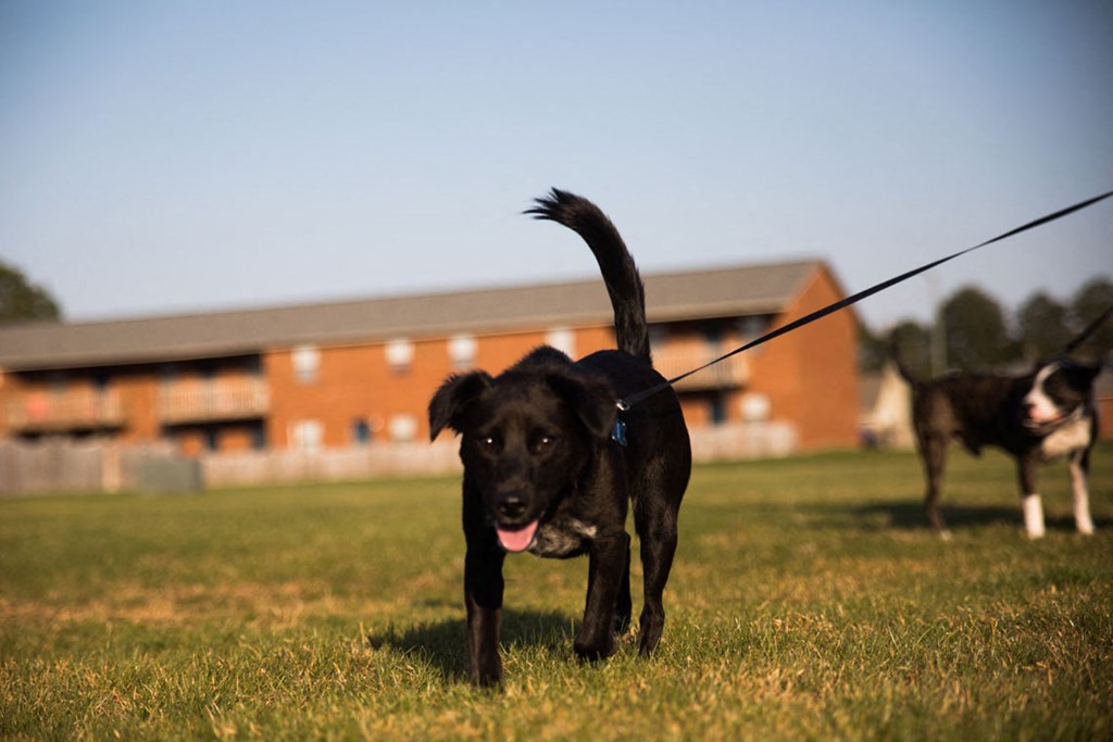 Wesley South courtyard