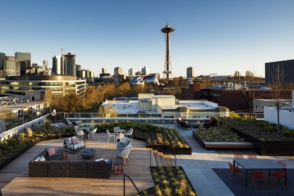 a roof garden with a view