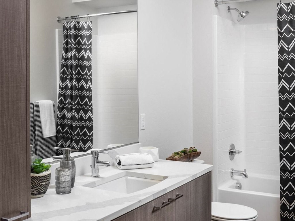 a bathroom with a sink and a shower and a mirror