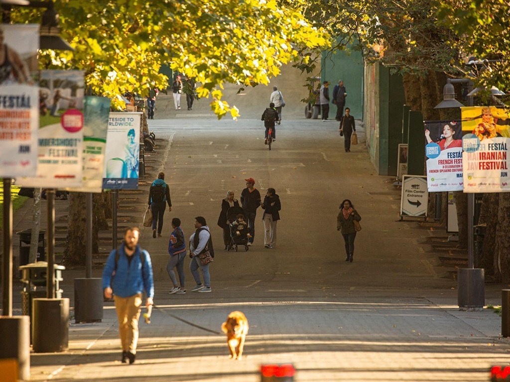 people walking and walking their dogs on a city street