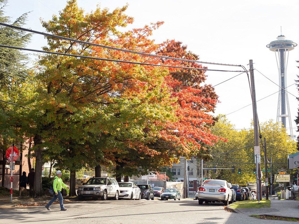 a city street with cars and people walking across the street