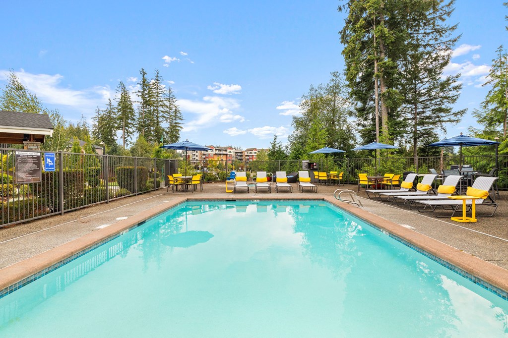 the swimming pool at the resort at paws up