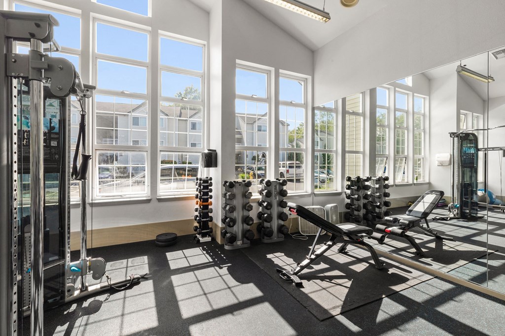 the gym has plenty of weights and mirrors in the windows