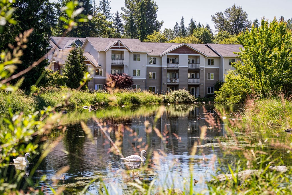 A large building is situated by a body of water with swans swimming in it.
