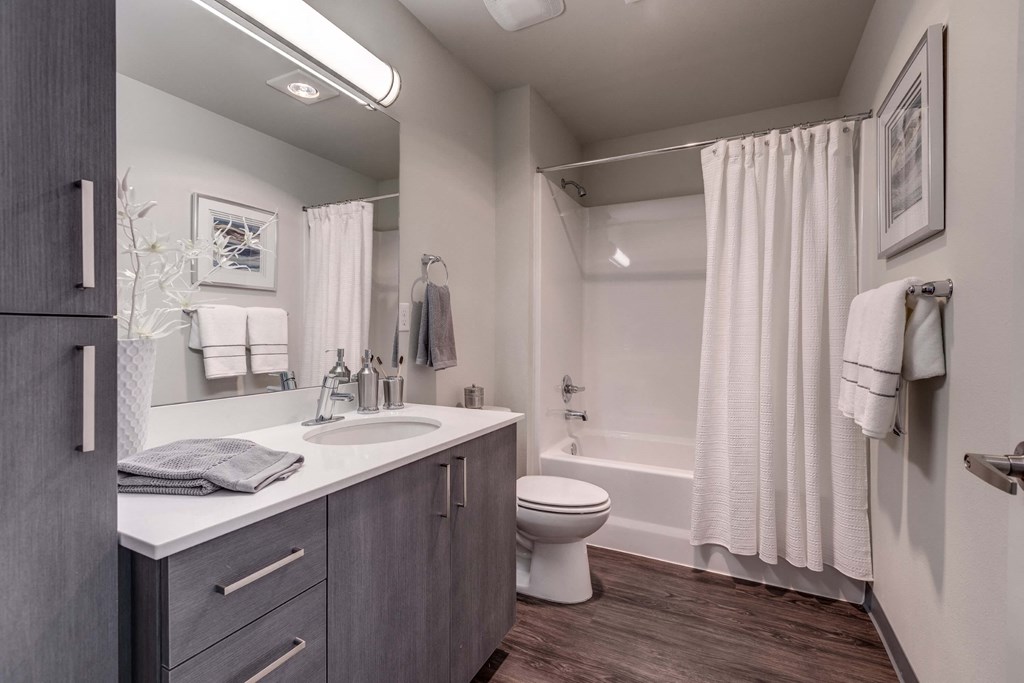 a bathroom with a sink and a toilet and a shower