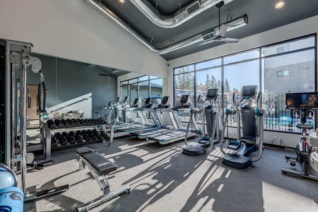 a gym with cardio equipment and large windows