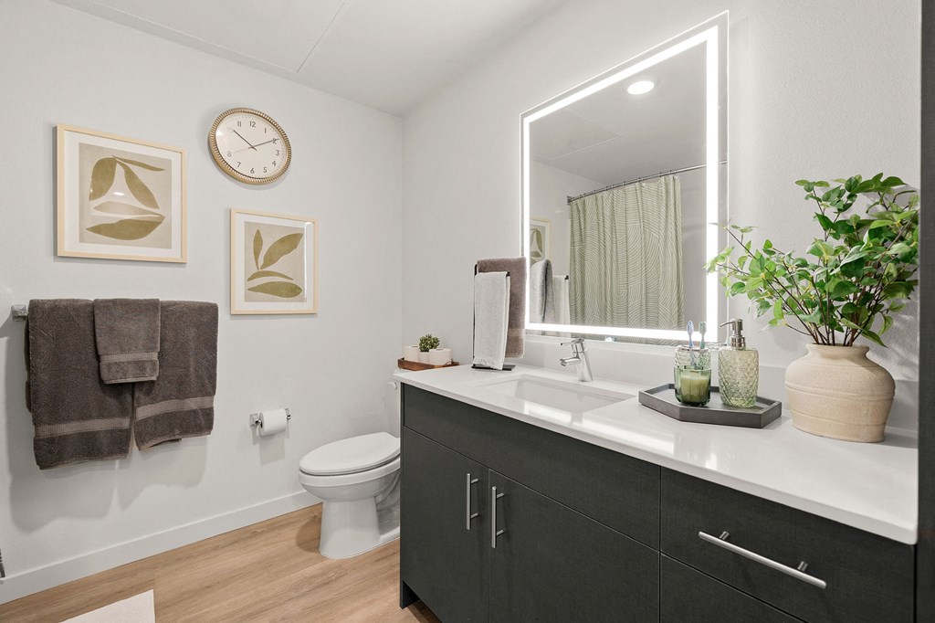 a bathroom with a mirror and a toilet and a sink