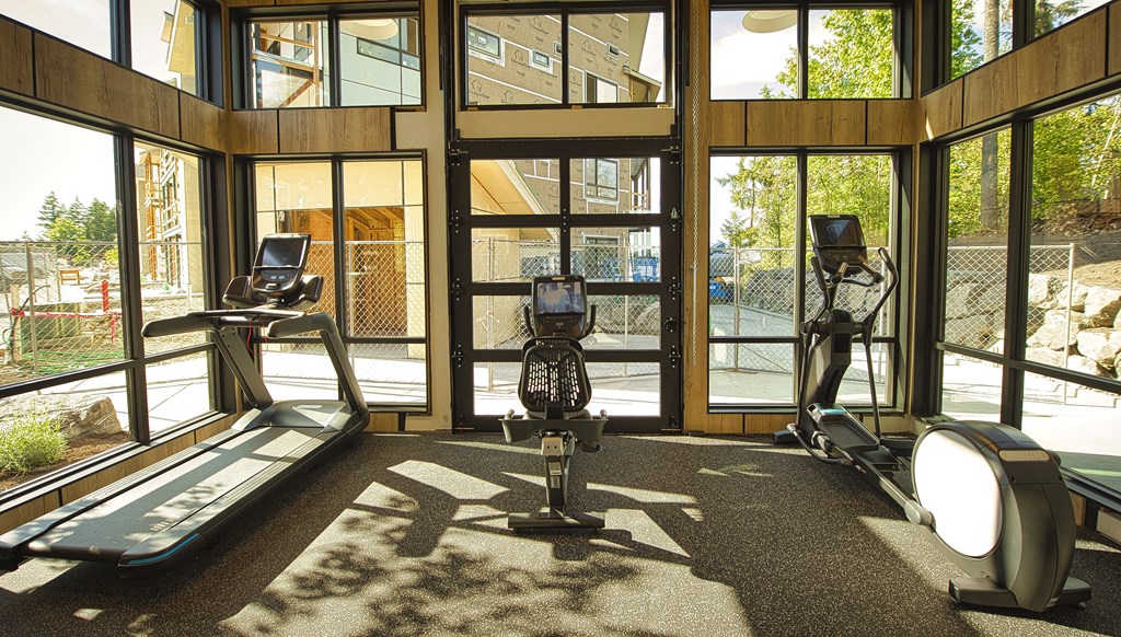 a gym with exercise equipment and windows with a view of the yard