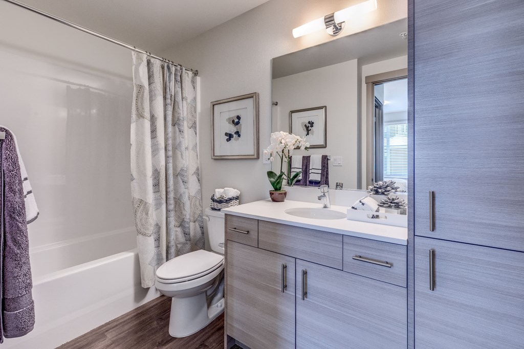a bathroom with a sink and a toilet and a shower