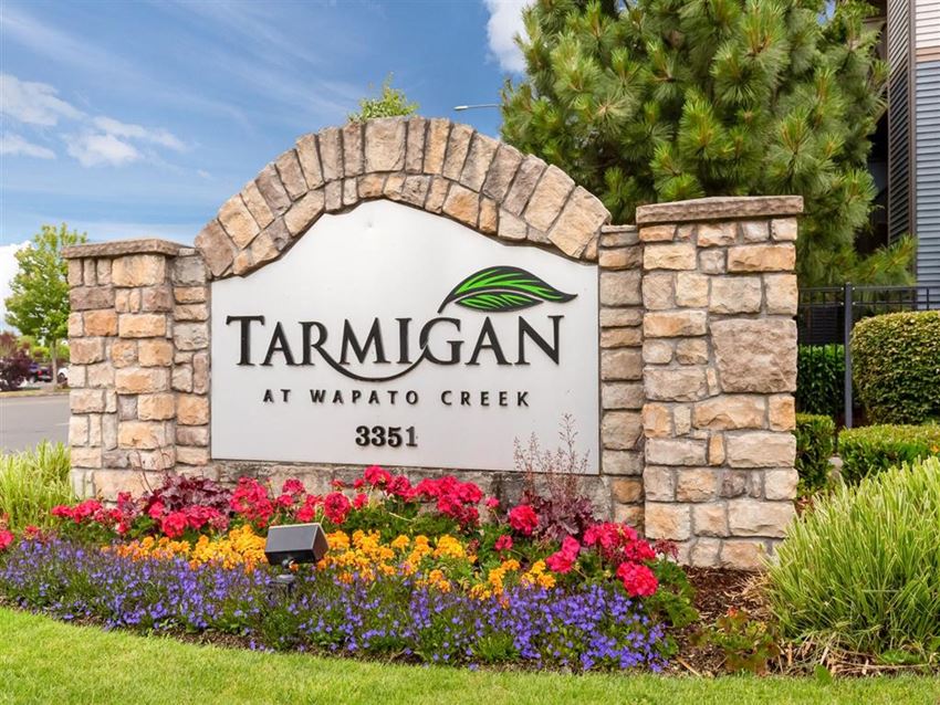 Welcome to Tarmigan! - Photo Gallery 1