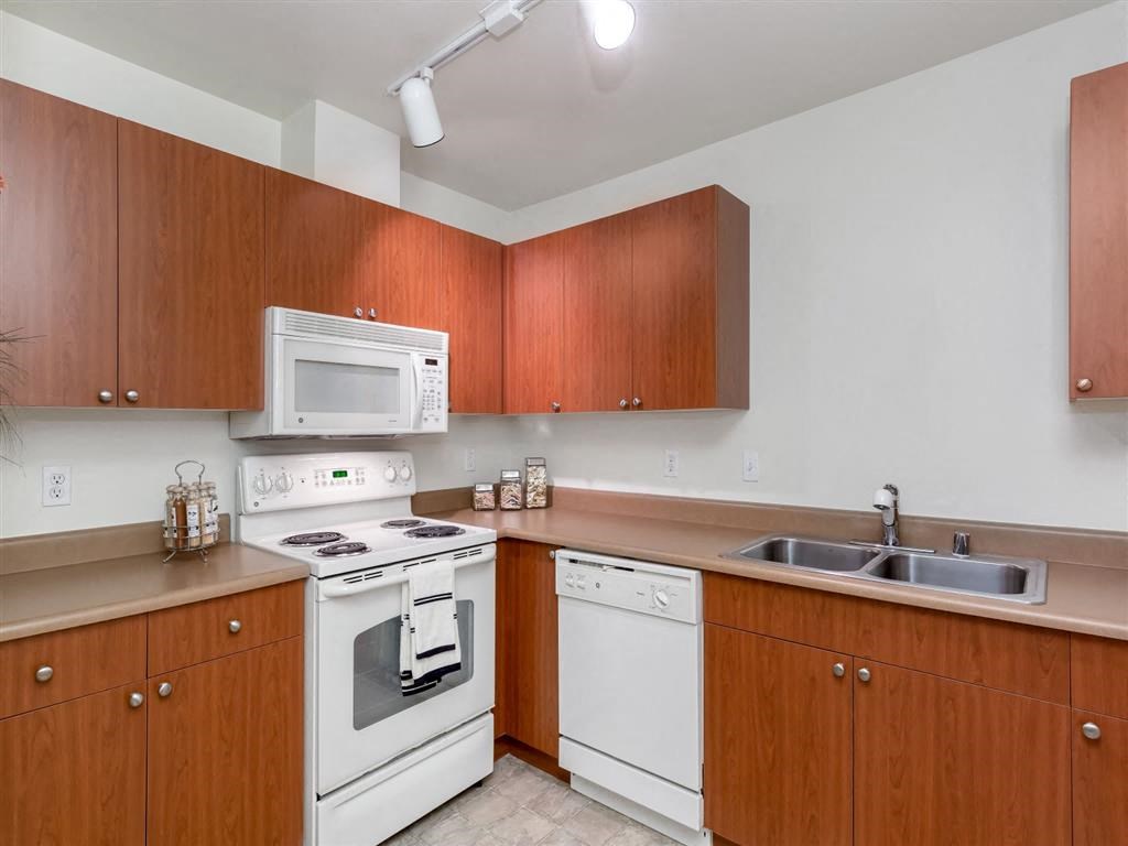 Lots of Counter and Cabinet Space