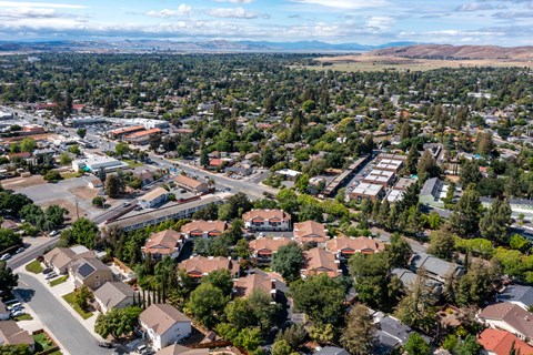 an aerial view of a neighborhood of houses with trees in the foreground and mountains in the background