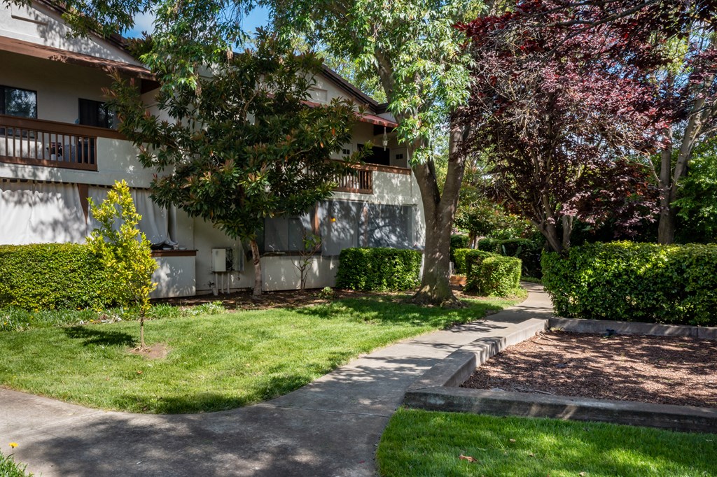 Property covered with Trees at Greentree Terrace Apartments, CONCORD, California