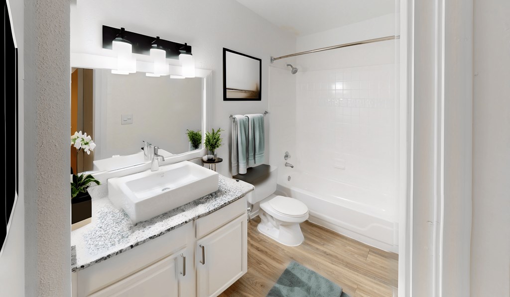 a bathroom with a sink and a toilet and a shower