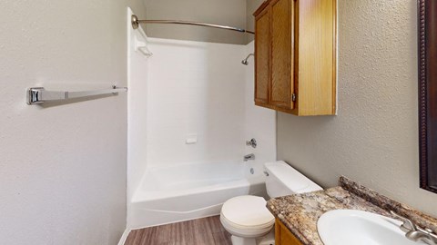 a bathroom with a sink toilet and a shower