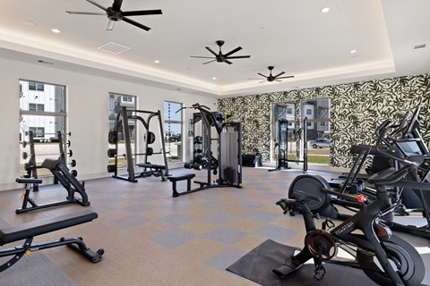 A spacious gym with a variety of equipment including treadmills, weights, and exercise bikes at Enclave Creedmoor Apartments, Creedmoor
