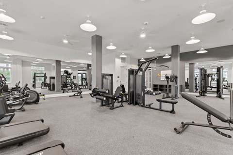 A spacious gym with a variety of equipment including treadmills, weights, and exercise machines.