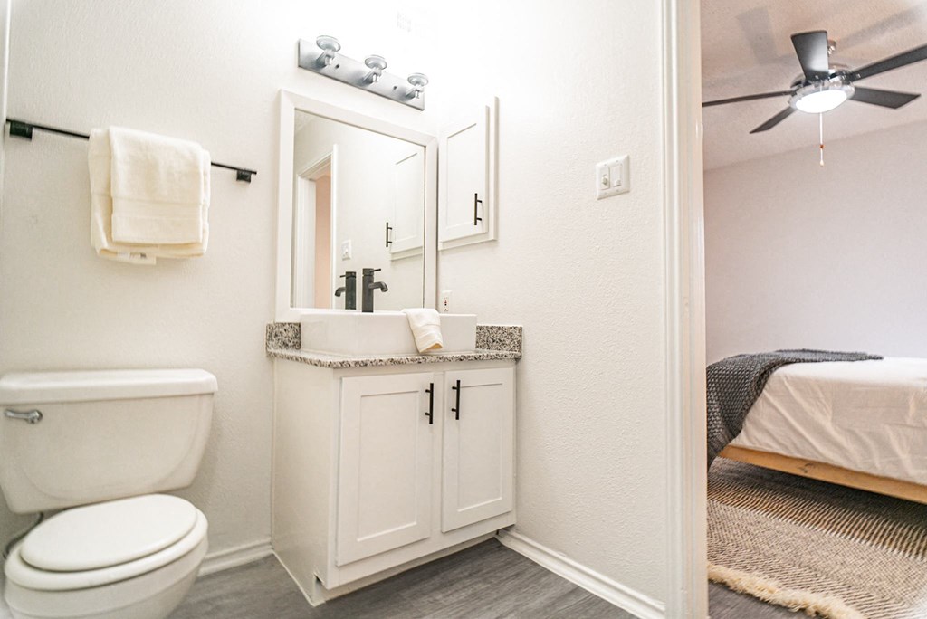 a bathroom with a toilet and a sink and a mirror