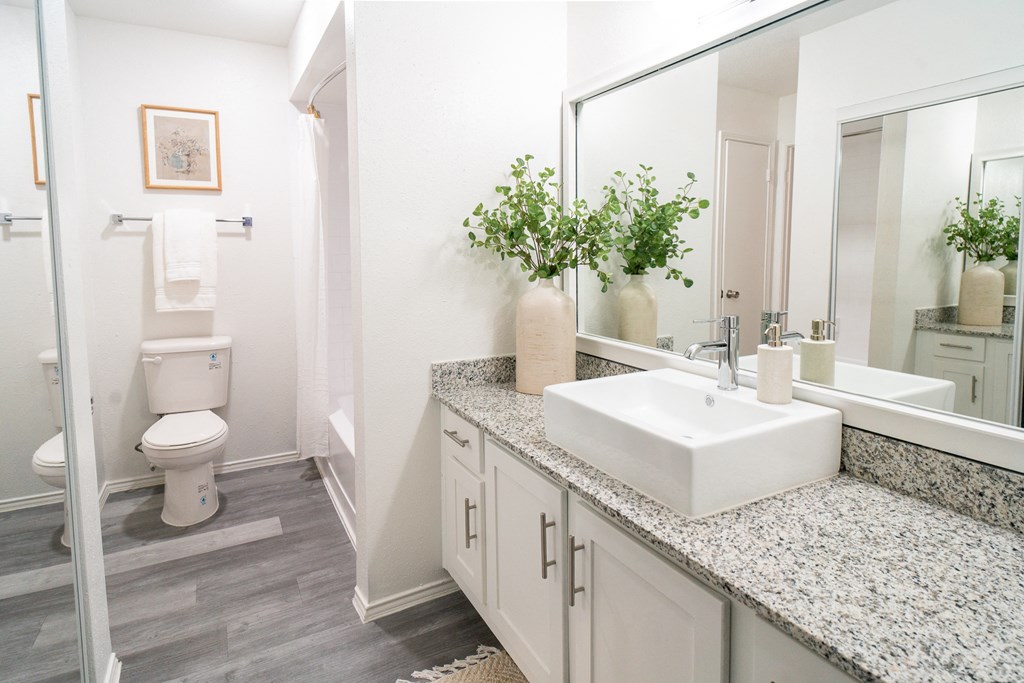 a bathroom with a sink and a mirror and a toilet