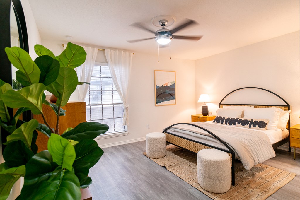 a bedroom with a bed and a ceiling fan and a plant