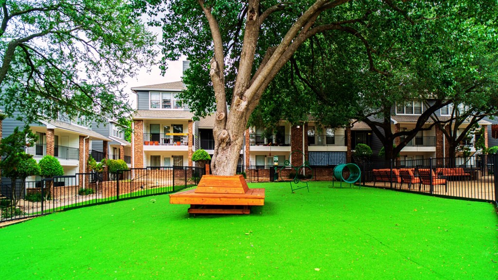 a large yard with a wooden picnic bench in front of a tree