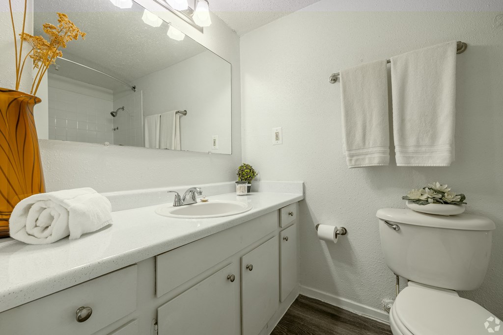 bathroom with sink and toilet