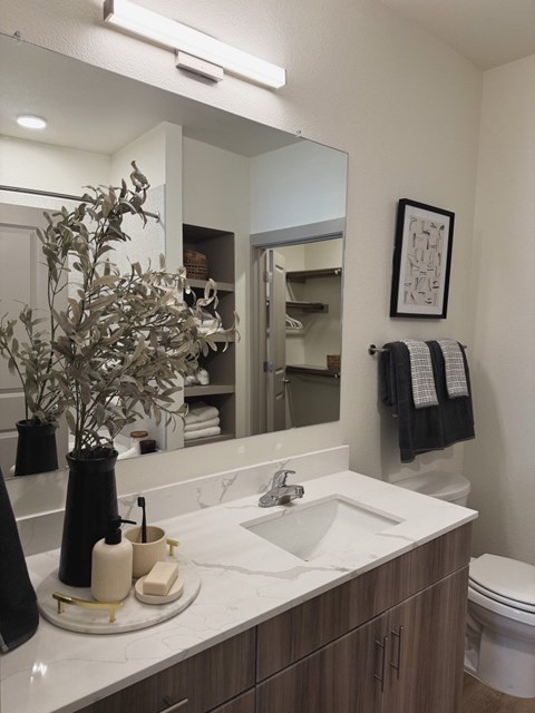 Bathroom Sink at Tapestry Centerpoint, San Marcos, 78666