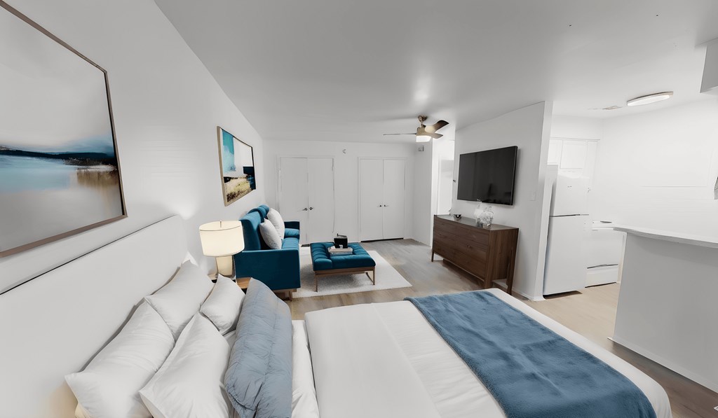 a bedroom with a bed and a couch and a tv