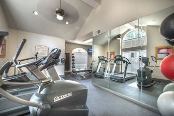 the gym is equipped with cardio equipment and mirrors