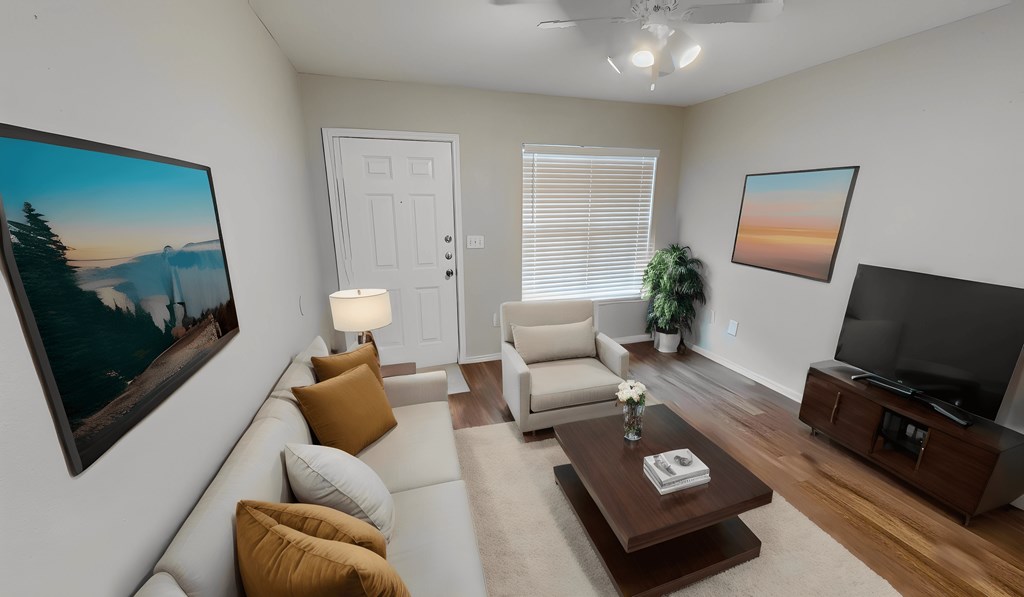 a living room with a white couch and a tv north austin tx