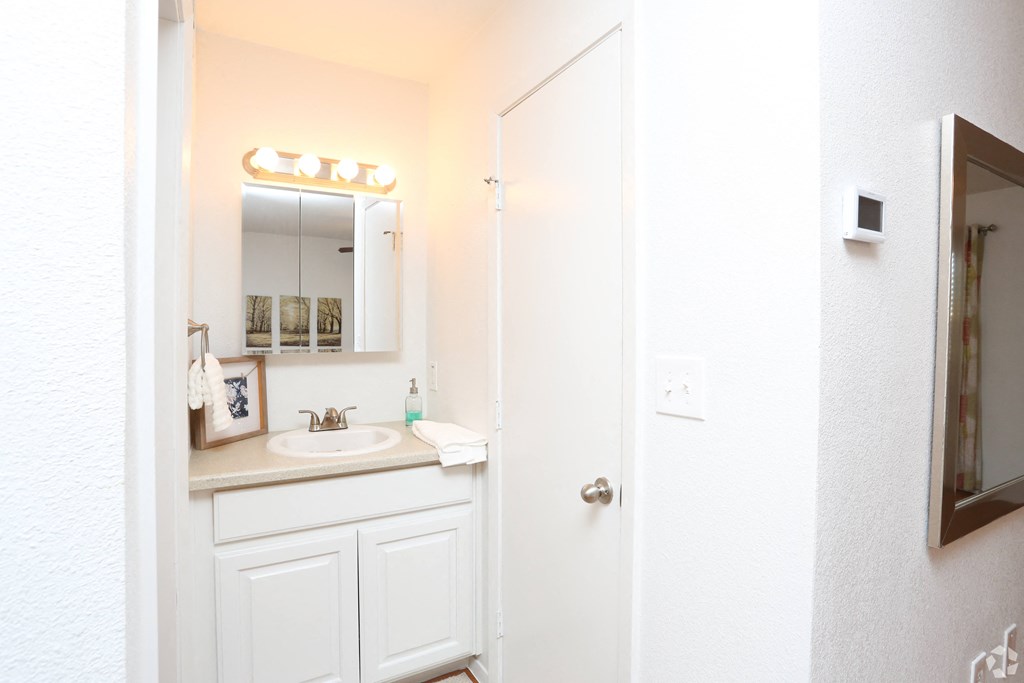 a bathroom with a sink and a mirror