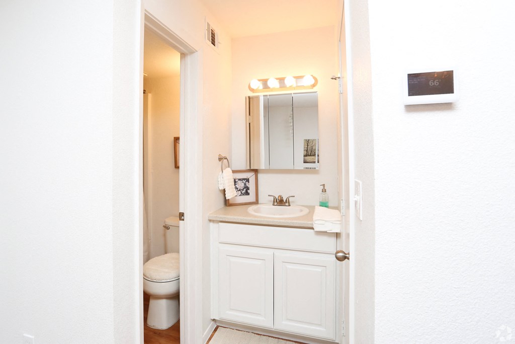 a bathroom with a sink and a toilet and a mirror