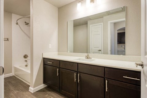 a bathroom with a sink and a mirror