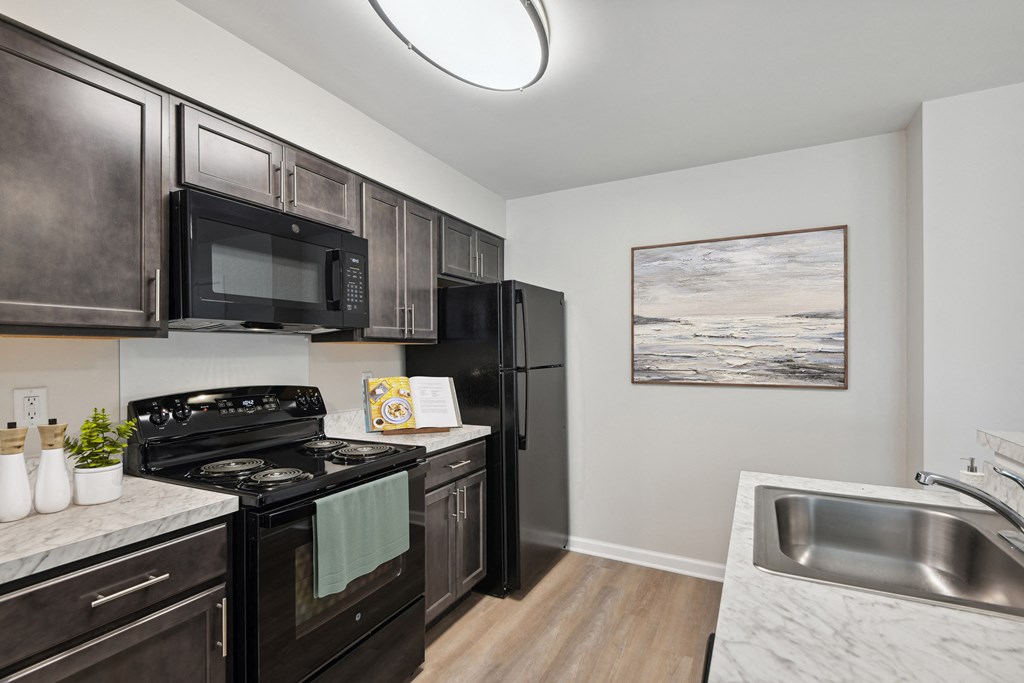 a kitchen with black appliances and a sink and black refrigerator