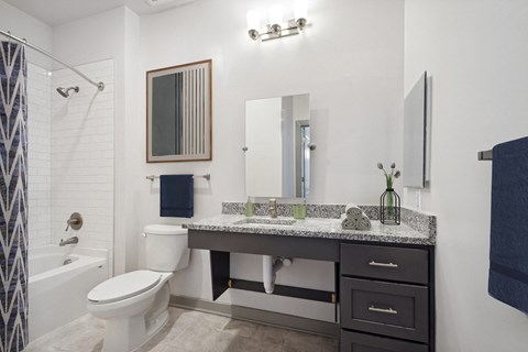 a bathroom with a sink and a toilet and a shower