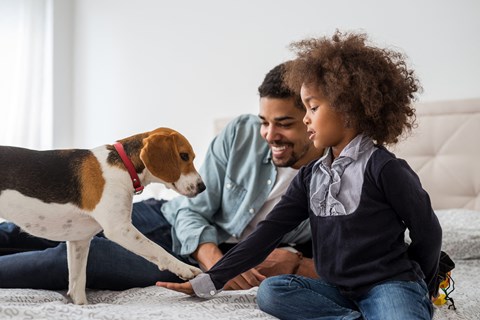 a father and child playing with a dog on a bed