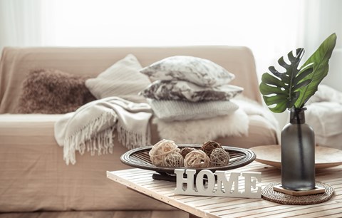 A cozy living room with a couch, a coffee table, and a plant.