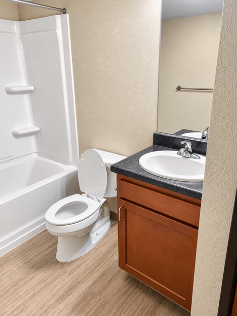 A white toilet sits next to a sink in a bathroom.