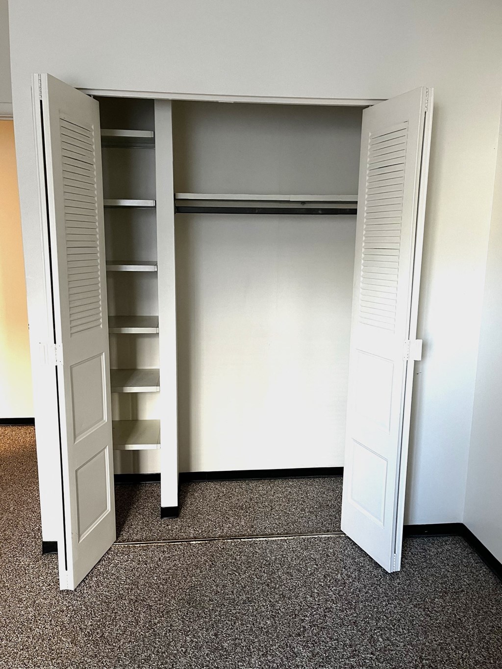 an open closet in a room with shelves and doors