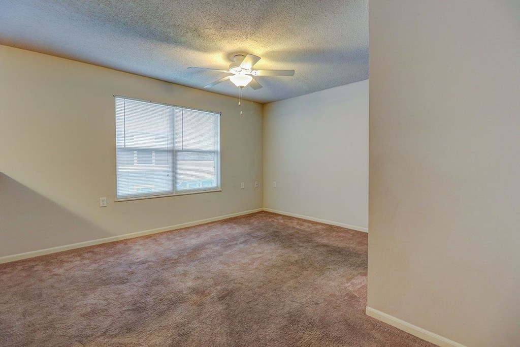a carpeted room with a ceiling fan and a window