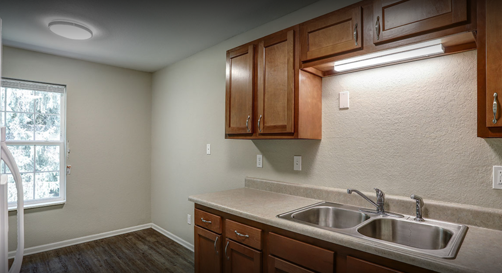 a kitchen with a sink and a window