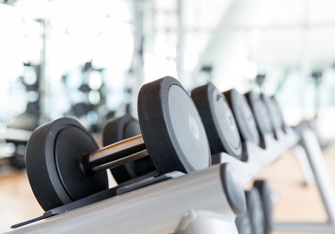 A close up of a dumbbell rack in a gym.