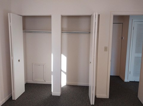 A white closet with a grey carpet and a white door.