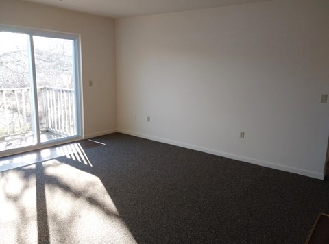 A room with a carpeted floor and a large window letting in sunlight.
