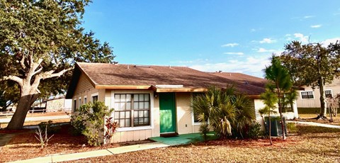 A house with a green door and a brown roof.