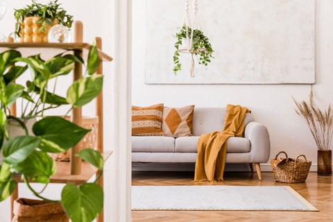 a living room with a couch and a rug and plants