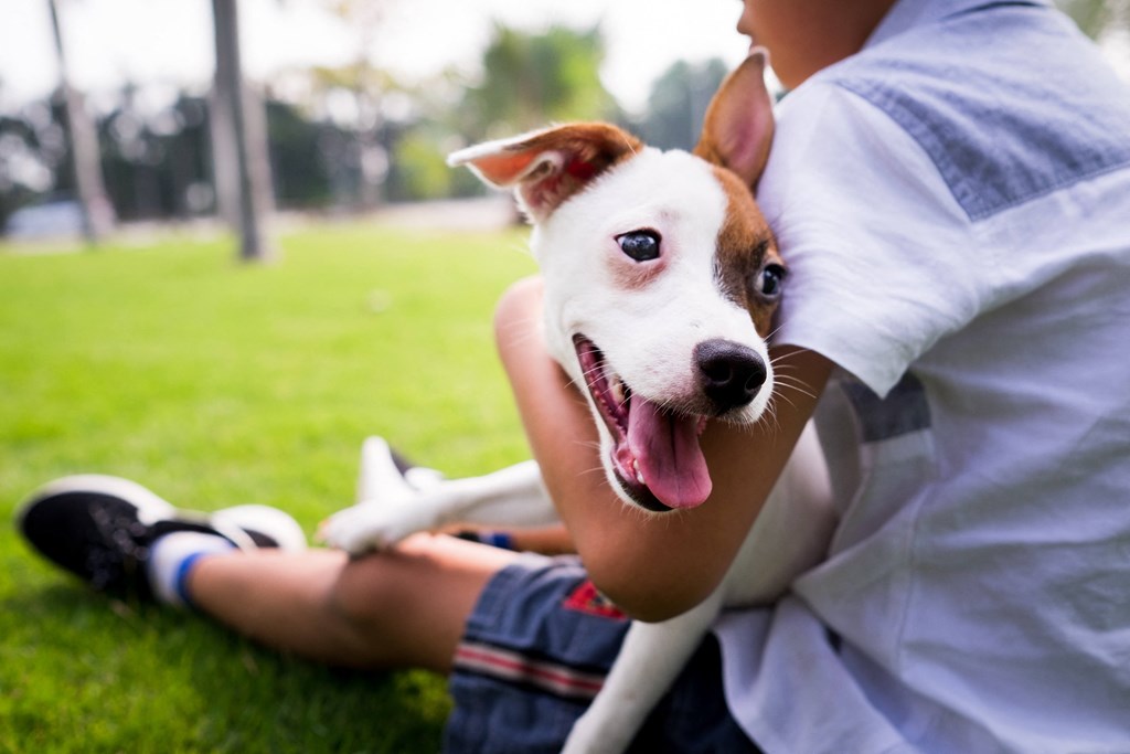 a man and his dog sitting on the grass