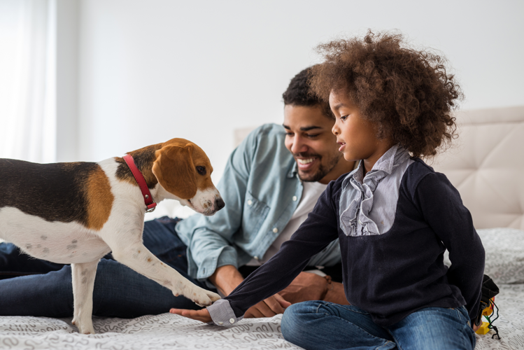 a father and child playing with a dog on a bed