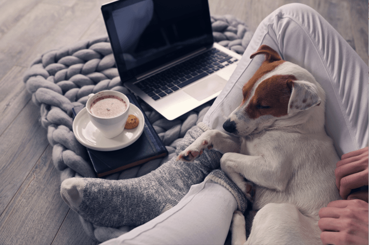 a dog laying next to a person on a bed with a laptop