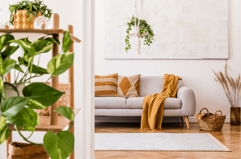 a living room with a couch and plants